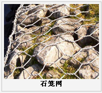 護欄網(wǎng),金剛網(wǎng),聲屏障,石籠網(wǎng),框架護欄網(wǎng),市政護欄網(wǎng)