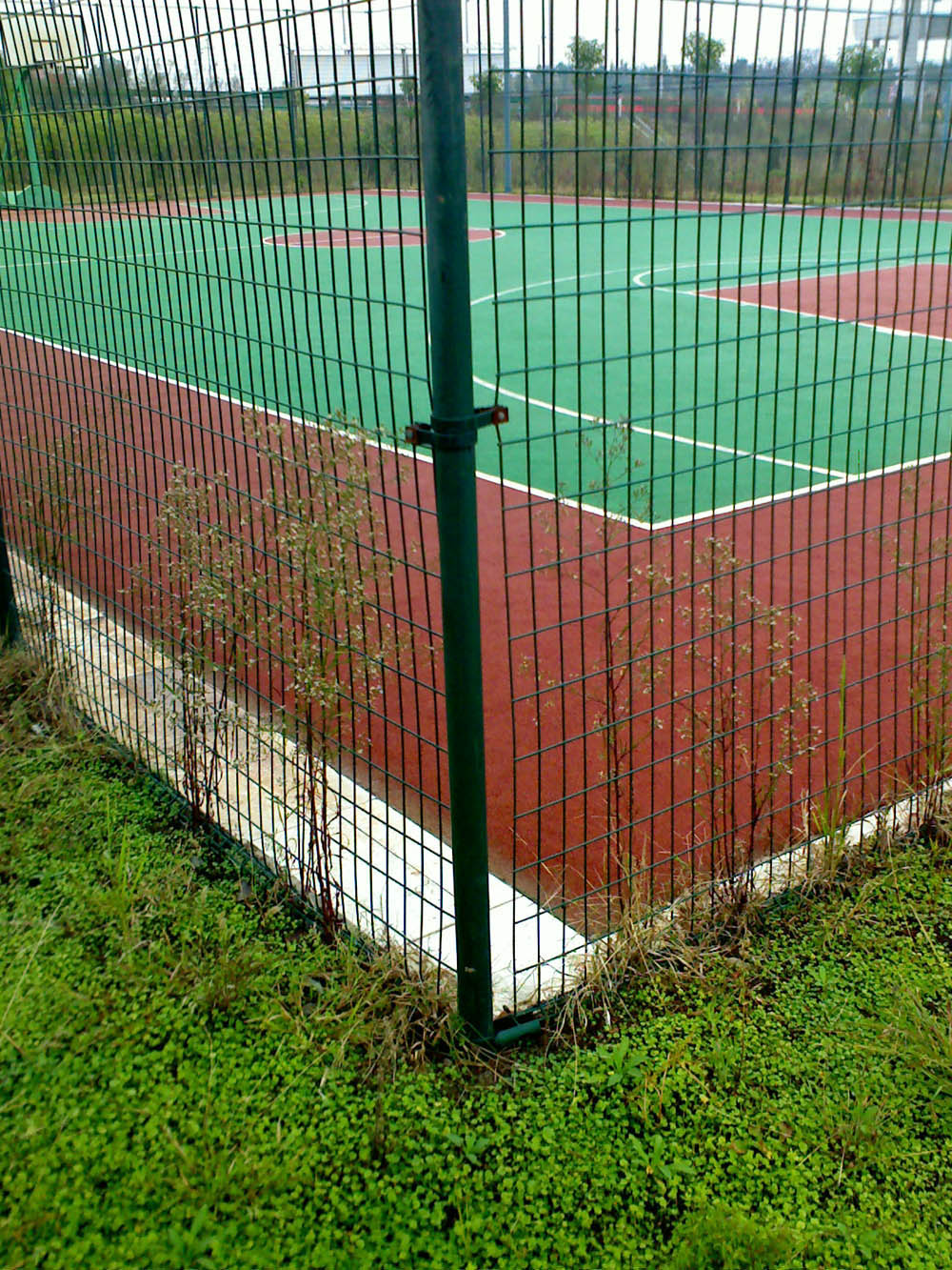 護(hù)欄網(wǎng),市政護(hù)欄網(wǎng),欄網(wǎng)廠家