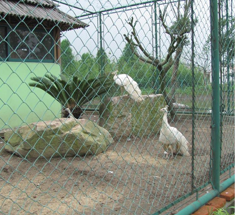 籃球場圍欄網(wǎng)